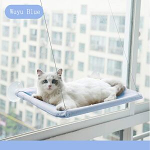 Consejos Para Comprar Gato Azul Listamos Los 10 Mejores